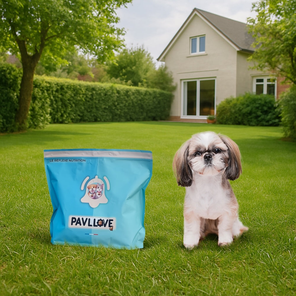 Sac de croquettes Pavllove pour chiot standard au poulet – naturelles, cuisson vapeur, riches en protéines et vitamines, fabriquées en France.
