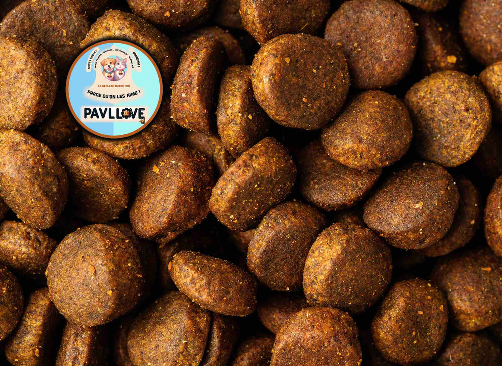 Croquettes naturelles française pour chien sportif, riche en protéines de Volaille, vitamines, saveurs, Précuites à la vapeur en Auvergne