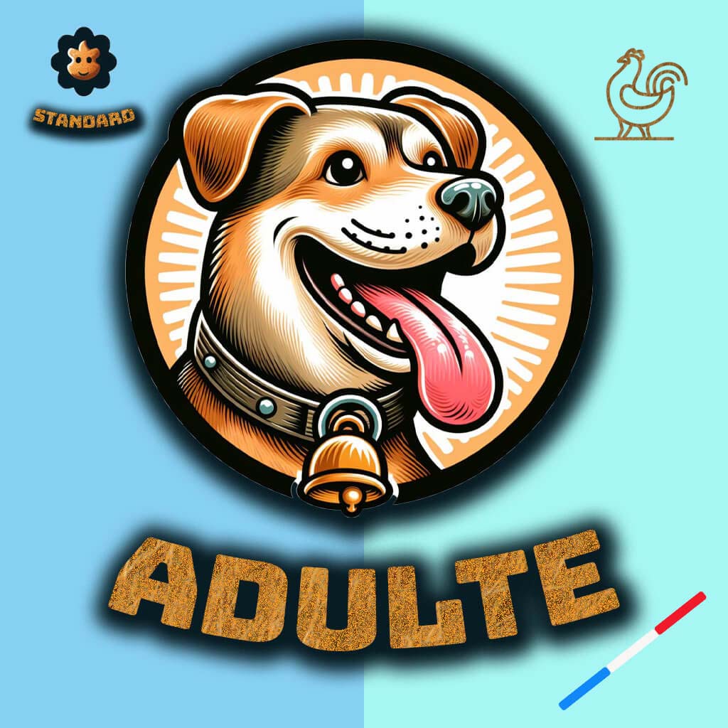 Croquettes Pavllove pour chien de taille standard, riche en protéines de Volaille, vitamines, nos croquettes sont précuites à la vapeur et sont fabriquées de manière artisanale en Auvergne