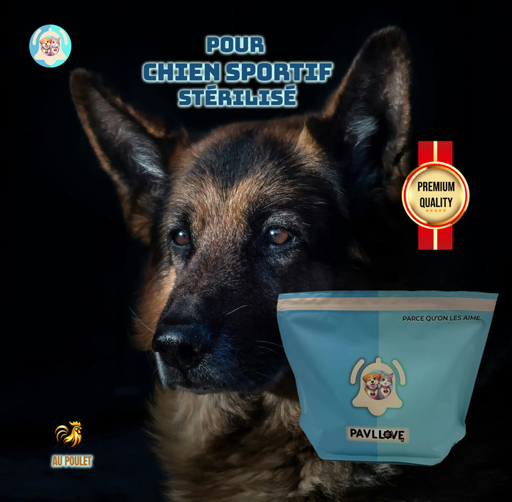 Croquettes haut de gamme pour chien sportif (gestation / lactation / compétition) - Poulet