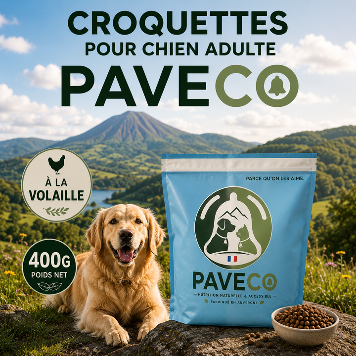 Croquettes pour Chien Adulte à la Volaille – PAVECO®