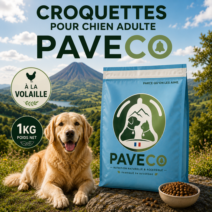 Croquettes pour Chien Adulte à la Volaille – PAVECO®