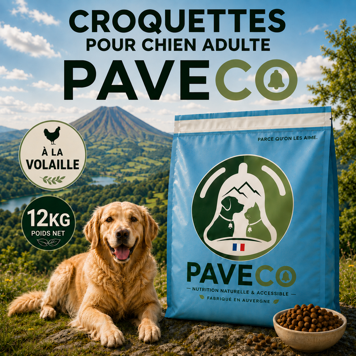 Croquettes pour Chien Adulte à la Volaille – PAVECO®