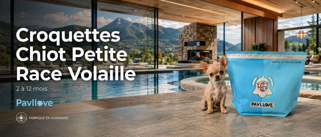 Croquettes Premium Chiot Mini (Petite Race) Volaille – 2 à 12 Mois