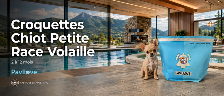 Croquettes Premium Chiot Mini (Petite Race) Volaille – 2 à 12 Mois