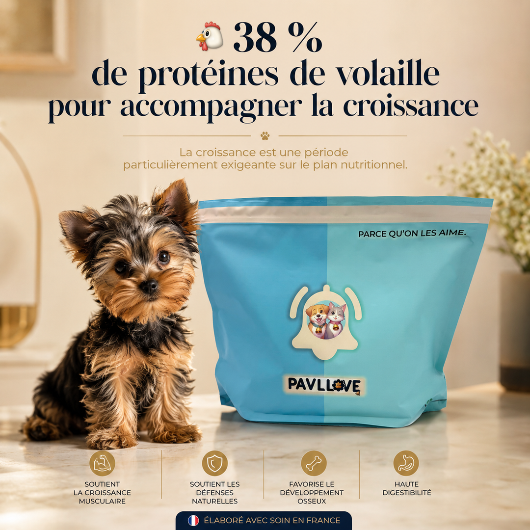 Croquettes Premium Chiot Mini (Petite Race) Volaille – 2 à 12 Mois