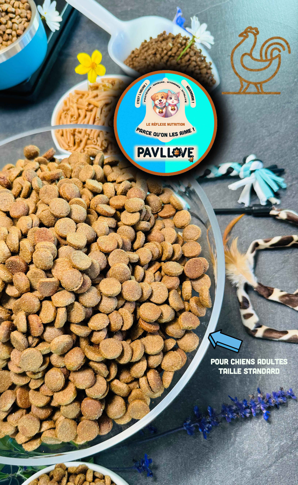 Croquettes Française Pavllove à la Volaille pour chien de taille standard, riche en protéines, vitamines, nos croquettes sont précuites à la vapeur.