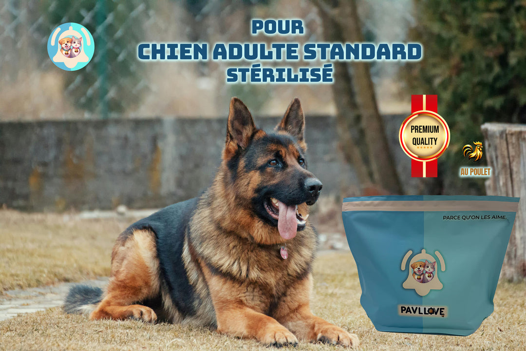 Croquettes haut de gamme pour chien Adulte & Senior - Poulet