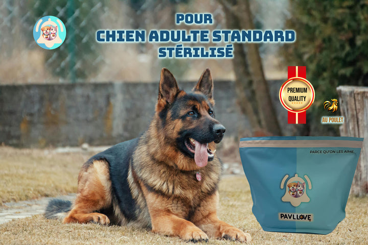 Croquettes haut de gamme pour chien Adulte & Senior - Poulet