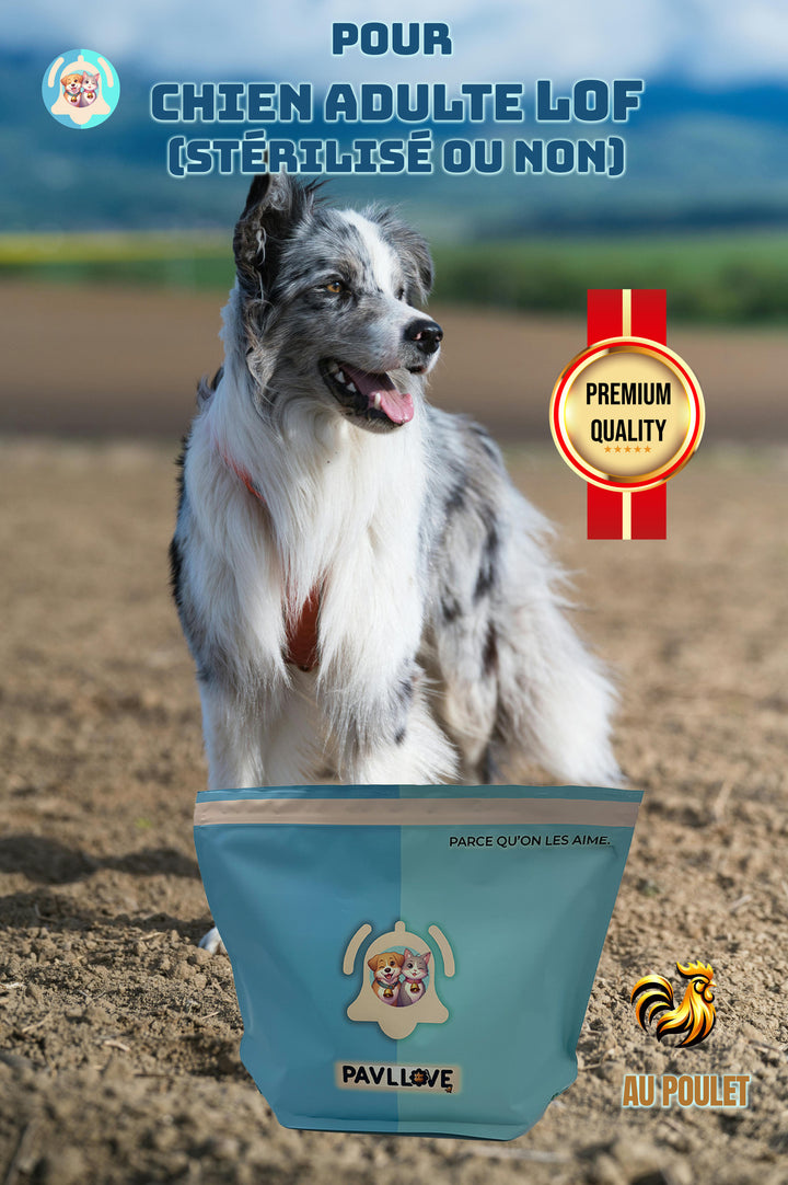 Croquettes haut de gamme pour chien Adulte & Senior - Poulet