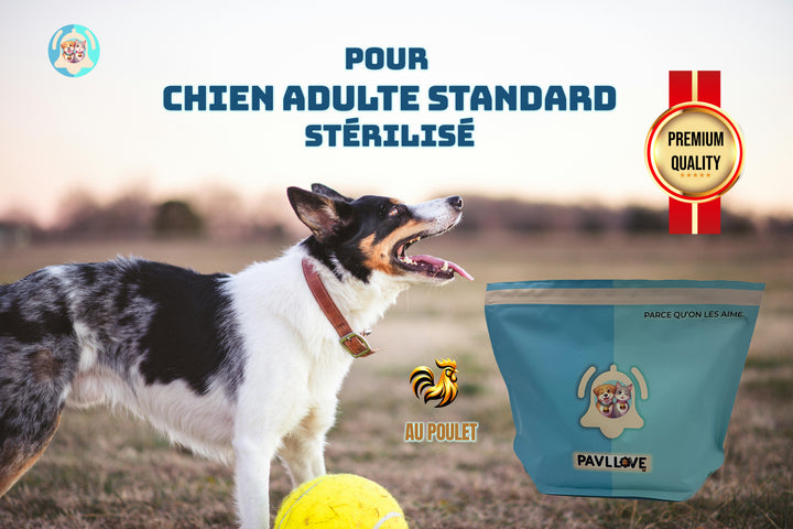 Croquettes haut de gamme pour chien Adulte & Senior - Poulet