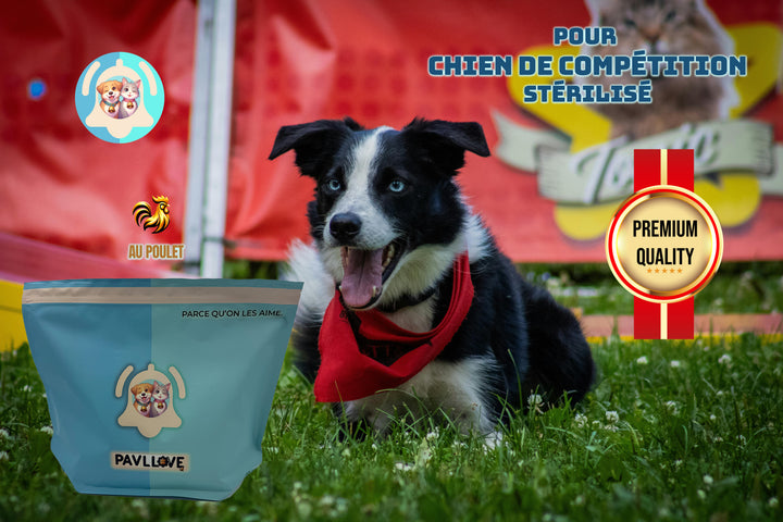 Croquettes haut de gamme pour chien sportif (gestation / lactation / compétition) - Poulet