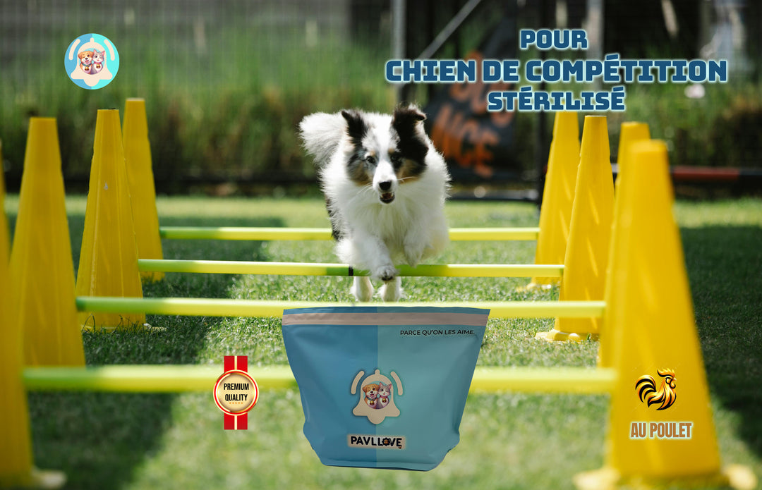 Croquettes haut de gamme pour chien sportif (gestation / lactation / compétition) - Poulet