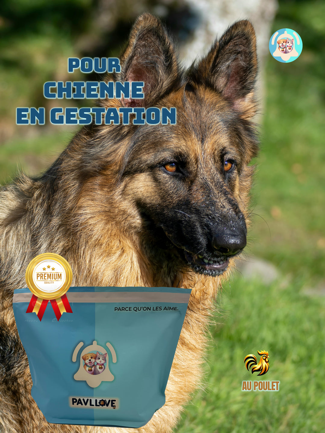 Croquettes haut de gamme pour chien sportif (gestation / lactation / compétition) - Poulet