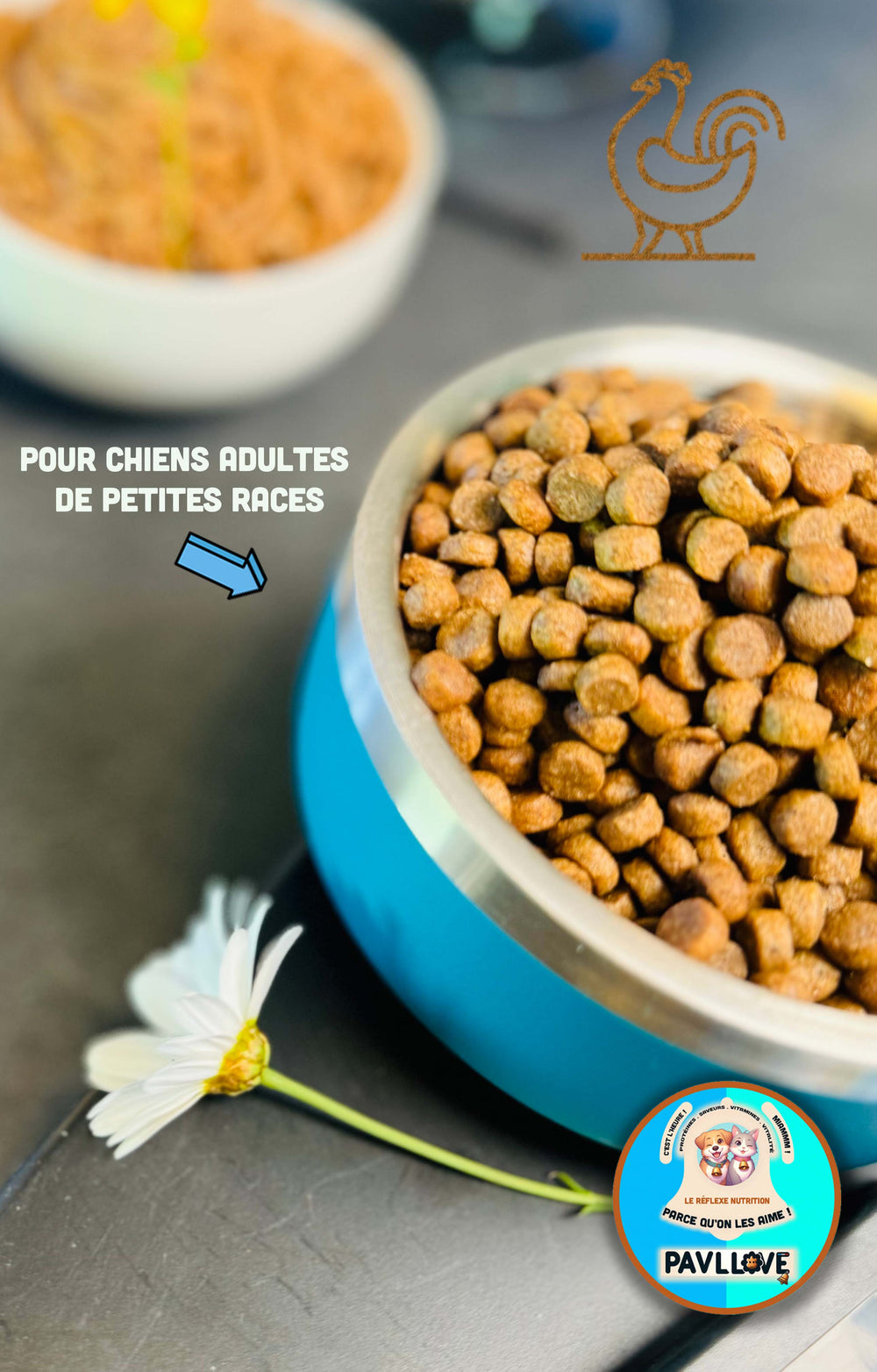 Croquettes de petites tailles, Riche en protéines de Volaille, vitamines, Les Croquettes Pavllove sont précuites à la vapeur et sont fabriquées en France de manière artisanale.