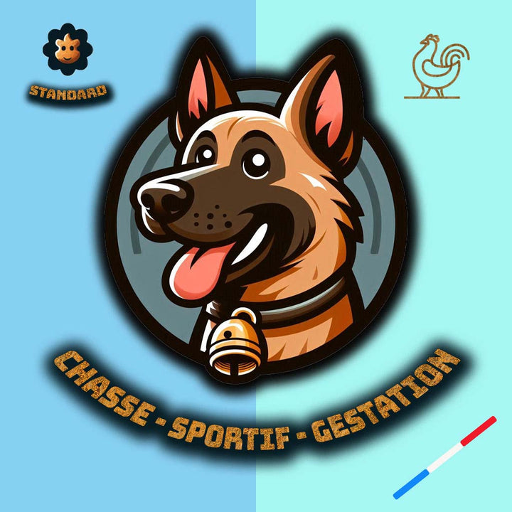 Croquettes pour chiens Sportif, de chasse, concours, gestation... Riche en protéines de Volaille, précuites à la vapeur, 100% français.