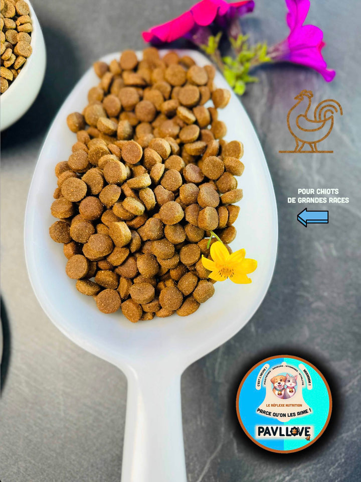 Croquettes pour chiots de grandes races Pavllove, Riche en protéine de Volaille, vitamines, Nos Croquettes française sont précuites à la vapeur.