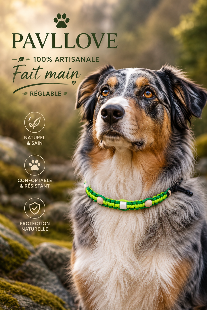 Collier Anti-Tiques & Antiparasitaire Naturel Chien et Chat, Fait Main en France, Perles de Céramique EM (Gamme Tréssée)