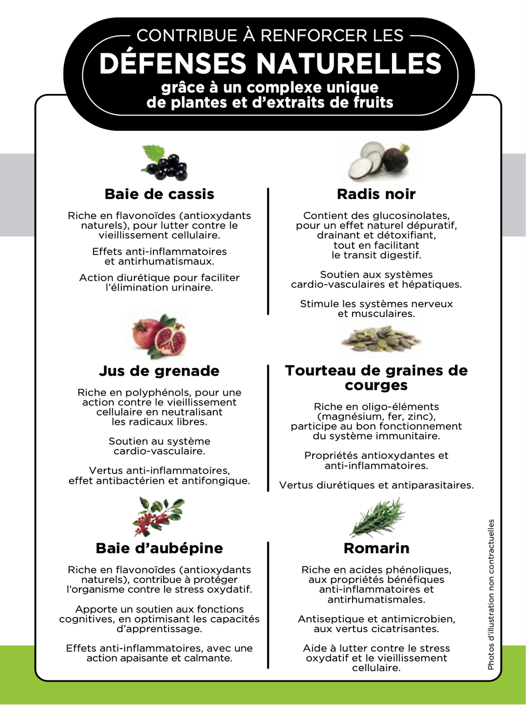 Croquettes Chiot Sevrage Premium – Sevrage Pavllove® (2 à 4 mois)