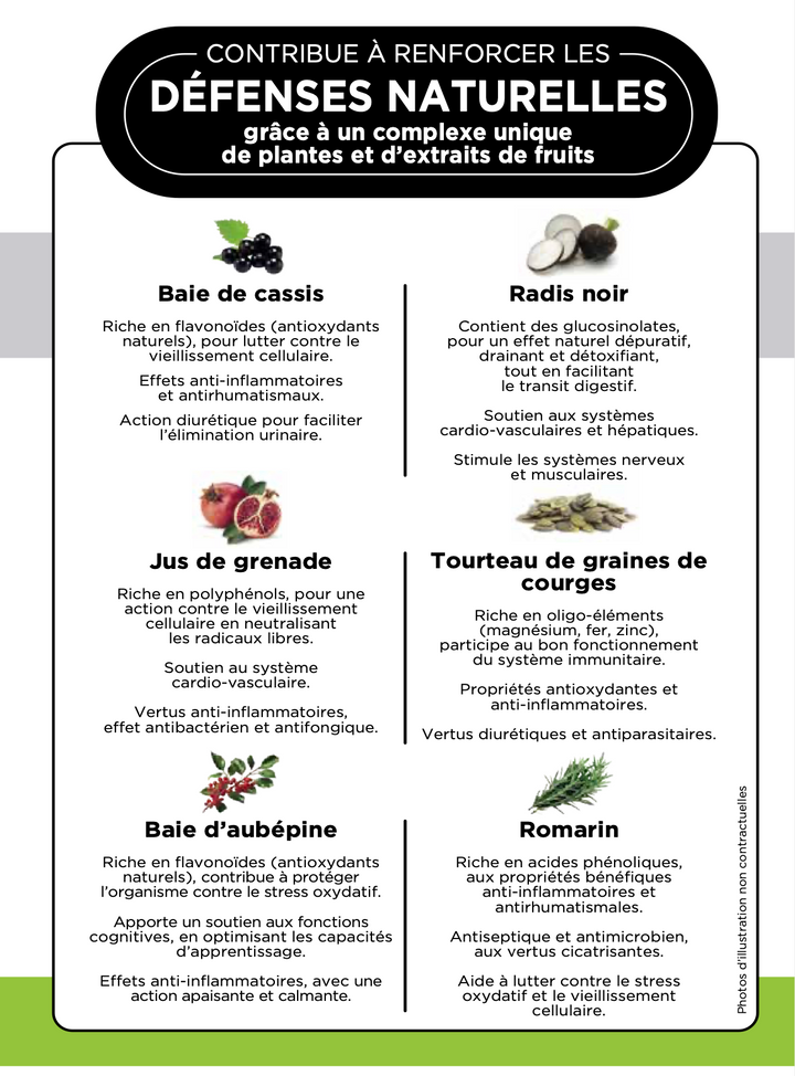 Croquettes Chiot Sevrage Premium – Sevrage Pavllove® (2 à 4 mois)