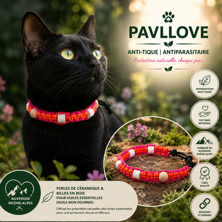 Collier Anti-Tiques & Antiparasitaire Naturel Chien et Chat, Fait Main en France, Perles de Céramique EM (Gamme Tréssée)