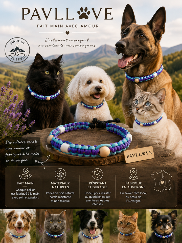 Collier Anti-Tiques & Antiparasitaire Naturel Chien et Chat, Fait Main en France, Perles de Céramique EM (Gamme Tréssée)