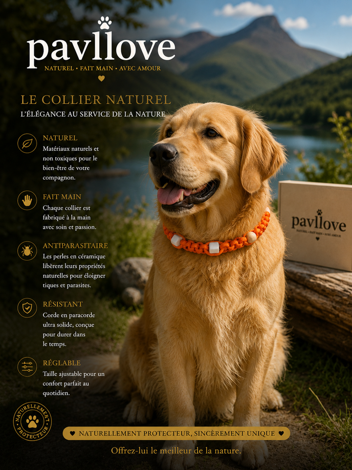 Collier Orange Torsadé Anti-Tiques Naturel, Antiparasitaire avec Perles de Céramique EM ⭐⭐⭐⭐⭐