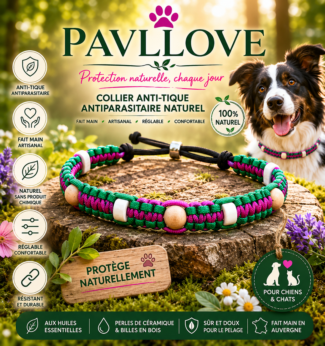 Collier Anti-Tiques & Antiparasitaire Naturel Chien et Chat, Fait Main en France, Perles de Céramique EM (Gamme Tréssée)
