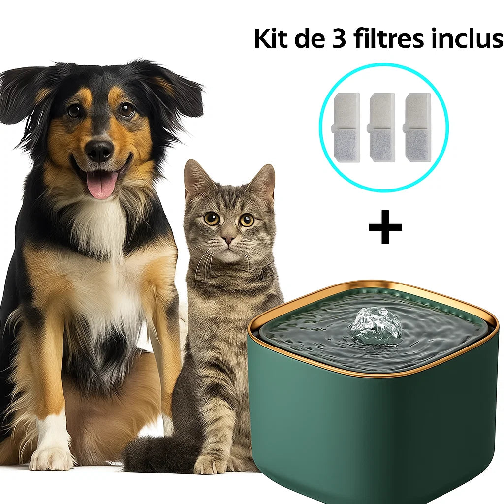 Chat buvant à une fontaine à eau Pavllove, accessoire élégant et apaisant qui favorise la santé et le bien-être félin.