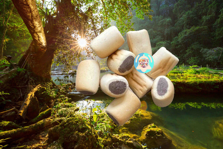 Pavllove biscuits premium au bœuf, parfaits pour l’éducation canine, croquants et nutritifs.