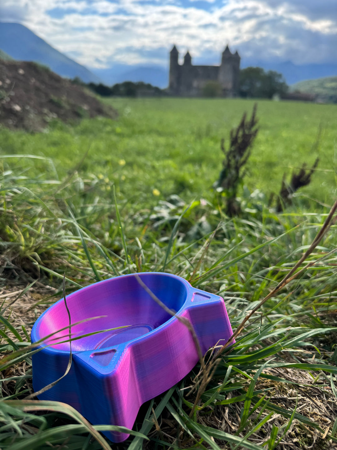 gamelle personnalisable unique violine Pavllove