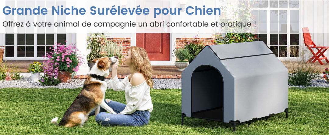 Abri confortable pour chien Pavllove