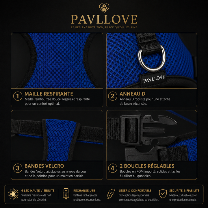 Harnais LED Pavllove pour Chien Sécurité lumineuse, confort & haute visibilité