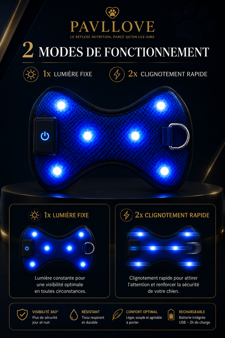 Harnais LED Pavllove pour Chien Sécurité lumineuse, confort & haute visibilité