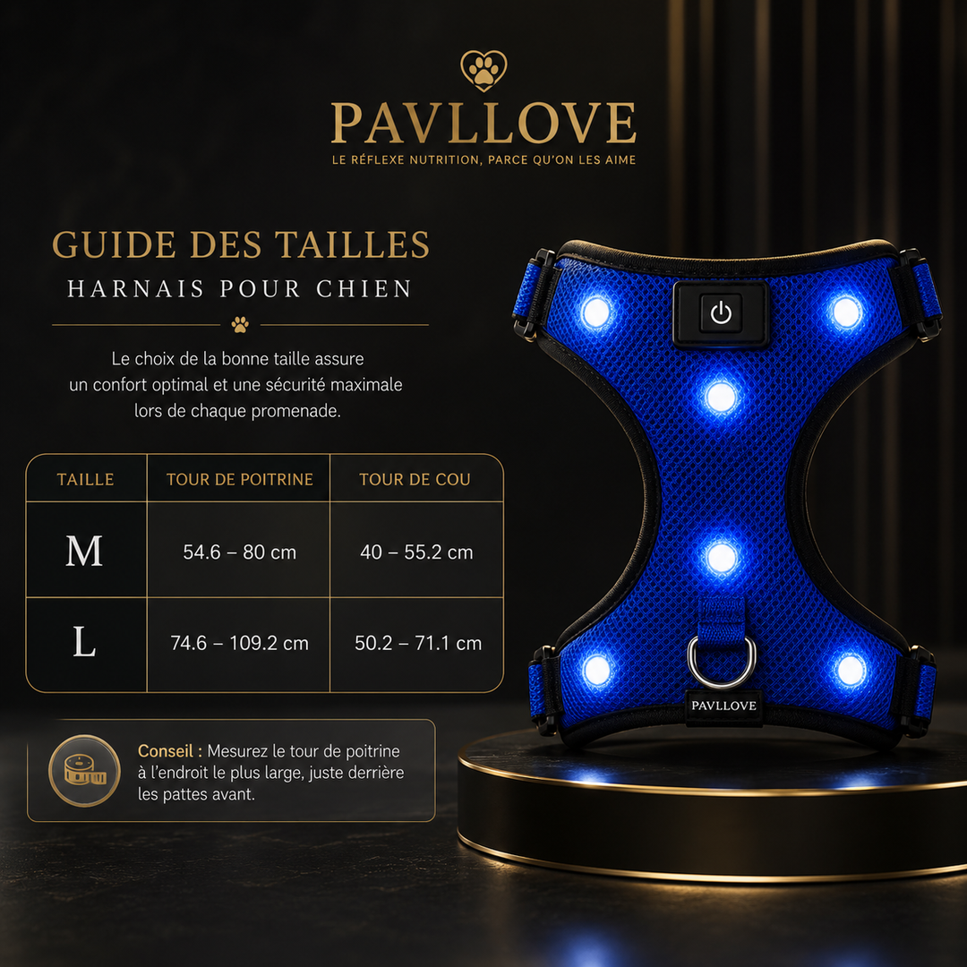 Harnais LED Pavllove pour Chien Sécurité lumineuse, confort & haute visibilité