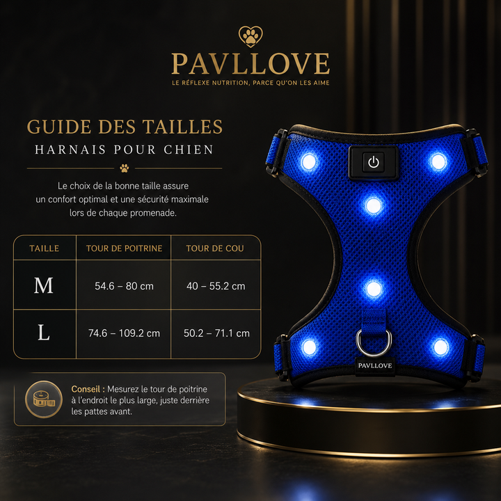 Harnais LED Pavllove pour Chien Sécurité lumineuse, confort & haute visibilité