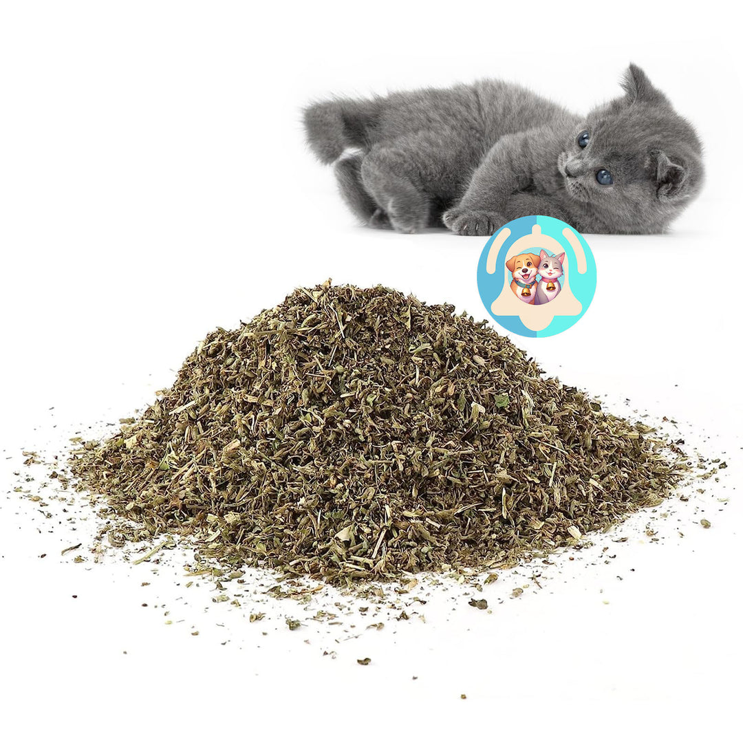 Cat'Air - Herbe séchée cataire bio (30g)