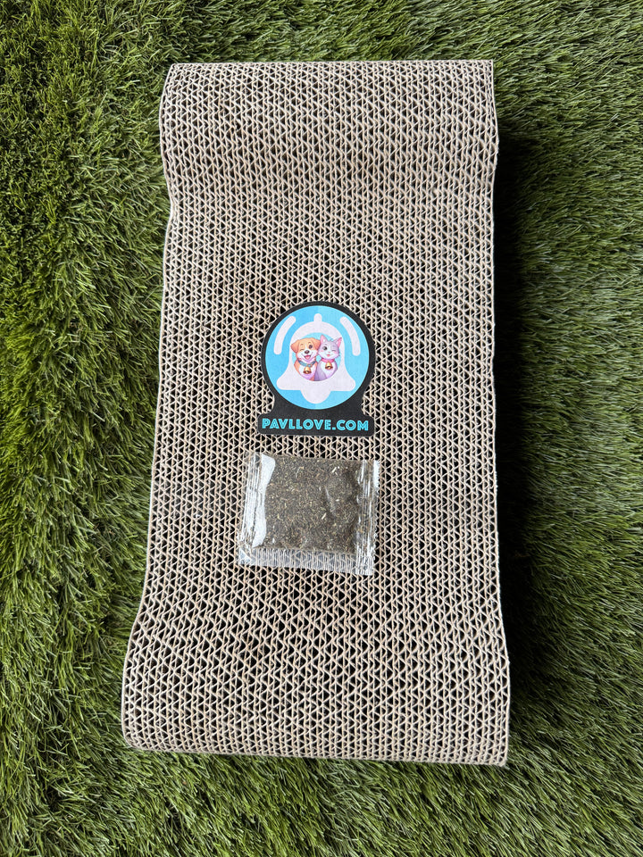 🐾 Grattoir en carton Pavllove Avec échantillon d’herbe à chat offert 🌿