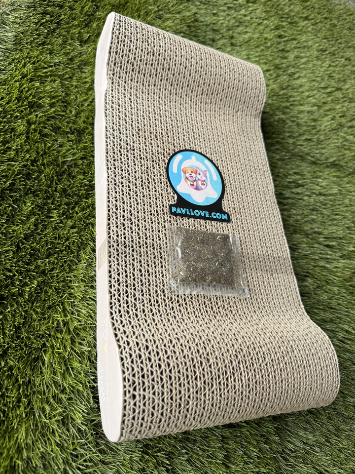 🐾 Grattoir en carton Pavllove Avec échantillon d’herbe à chat offert 🌿