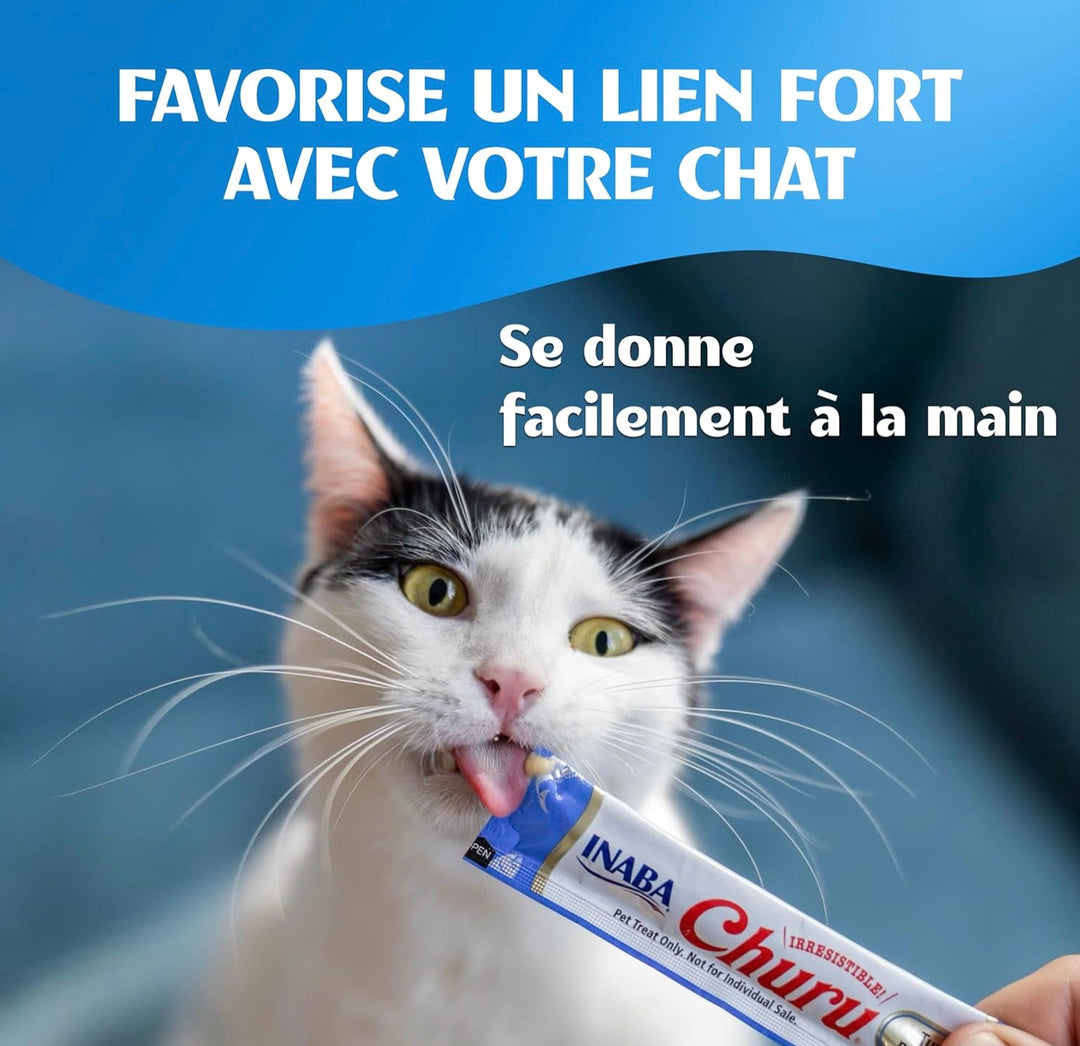 Chat qui lèche un tube Churu