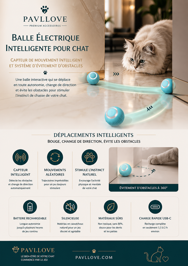Balle automatique pour chat d’intérieur avec lumière LED colorée Pavllove