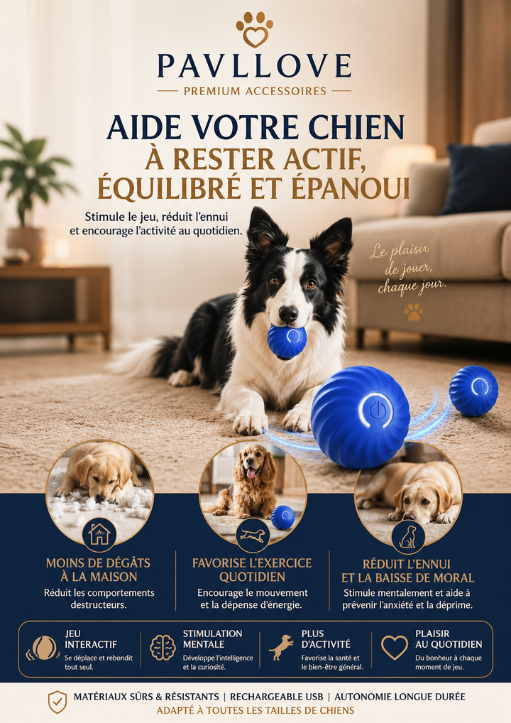 Jouet rechargeable pour chien avec balle rotative automatique en silicone
