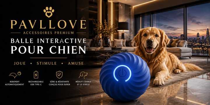 Balle rechargeable pour chien avec arrêt automatique après cinq minutes de jeu