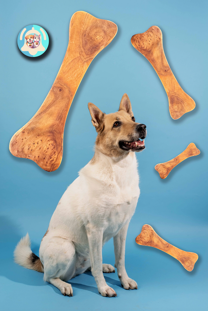 Bois d’olivier Pavllove taillé en forme d’os, produit naturel et durable pour chiens de petite et grande taille.