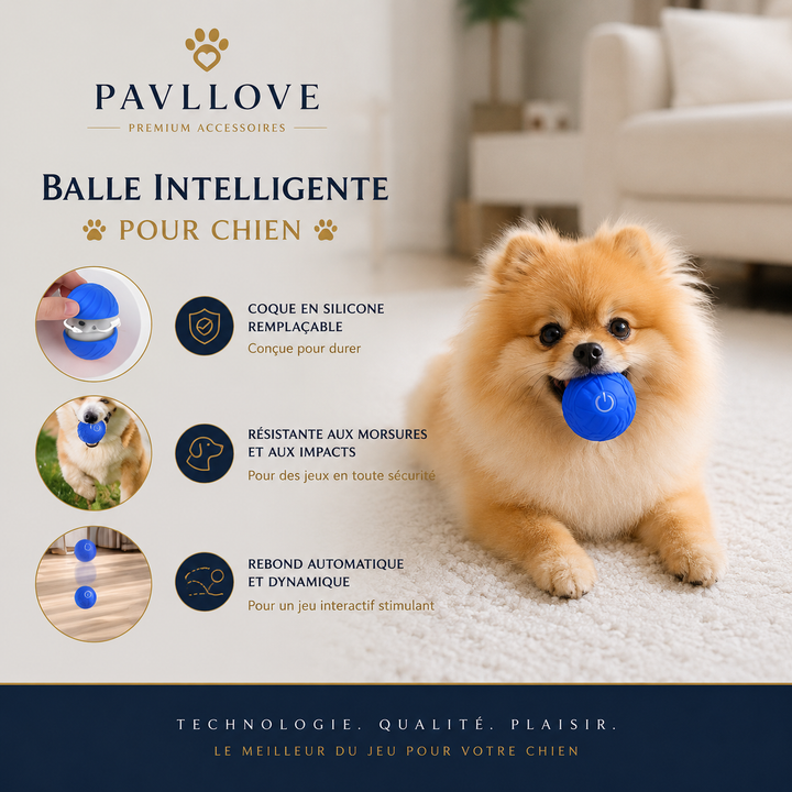 Balle pour chien interactive 5,6 cm rechargeable avec câble USB-C