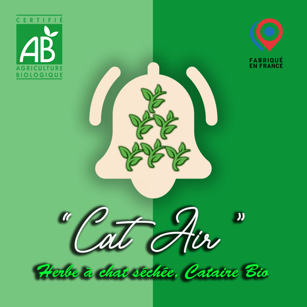 Cat'Air - Herbe séchée cataire bio (30g)