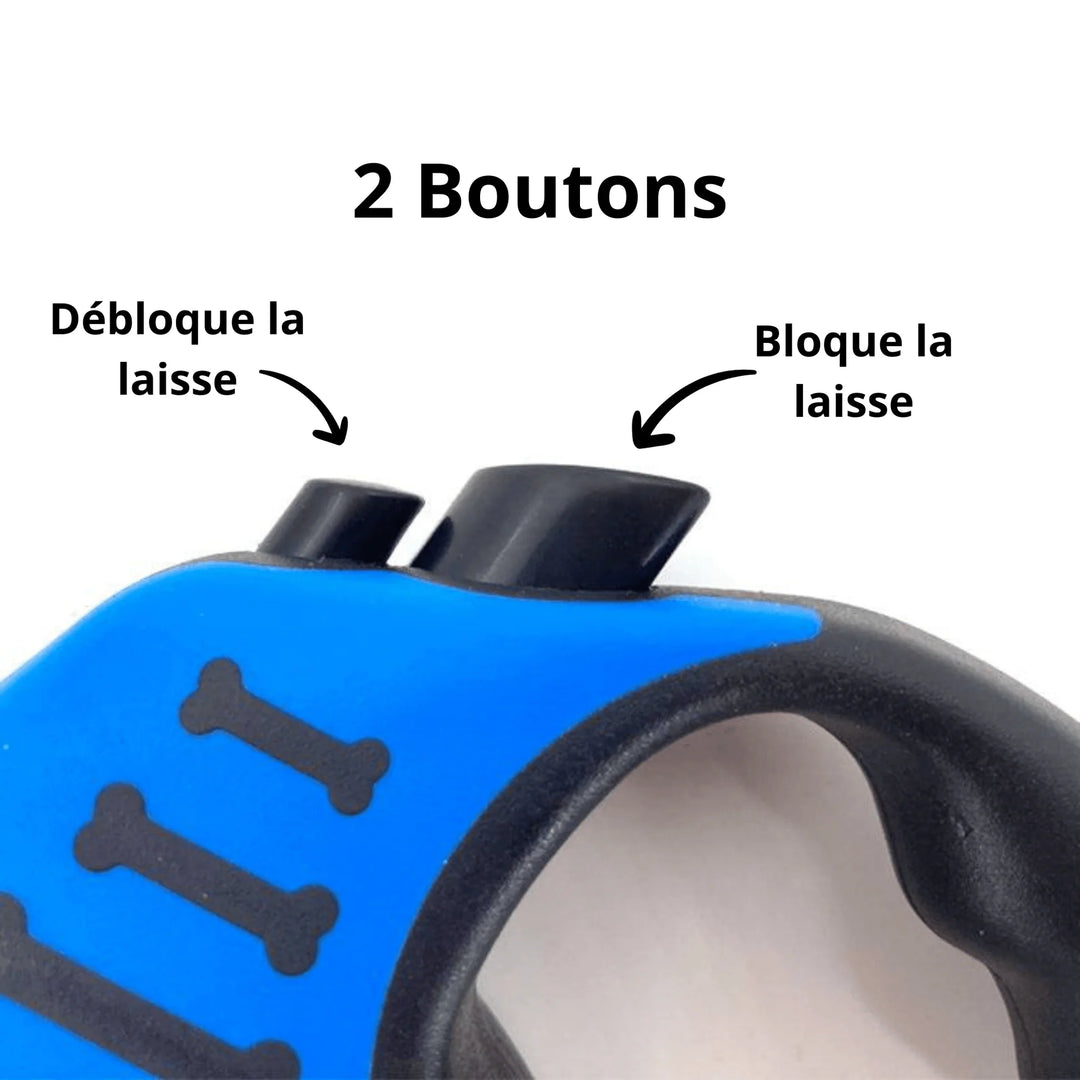 Laisse rétractable Pavllove 5 m, idéale pour les promenades, corde résistante et poignée antidérapante.