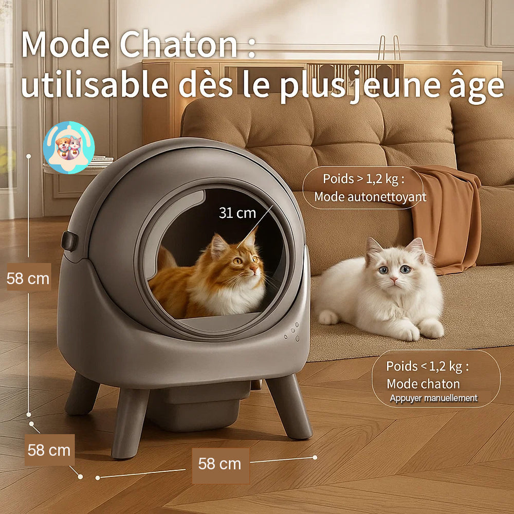 Litière automatique Pavllove pour chat, système de nettoyage intelligent, confort parfait et sécurité totale grâce à 12 capteurs.