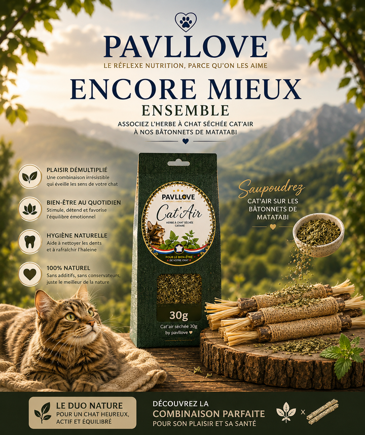 Cat'Air - Herbe séchée pour chat cataire ⭐⭐⭐⭐⭐