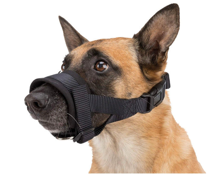 🐾 Muselière Confort Pavllove, Protection Douce & Sécurisée pour Votre Chien